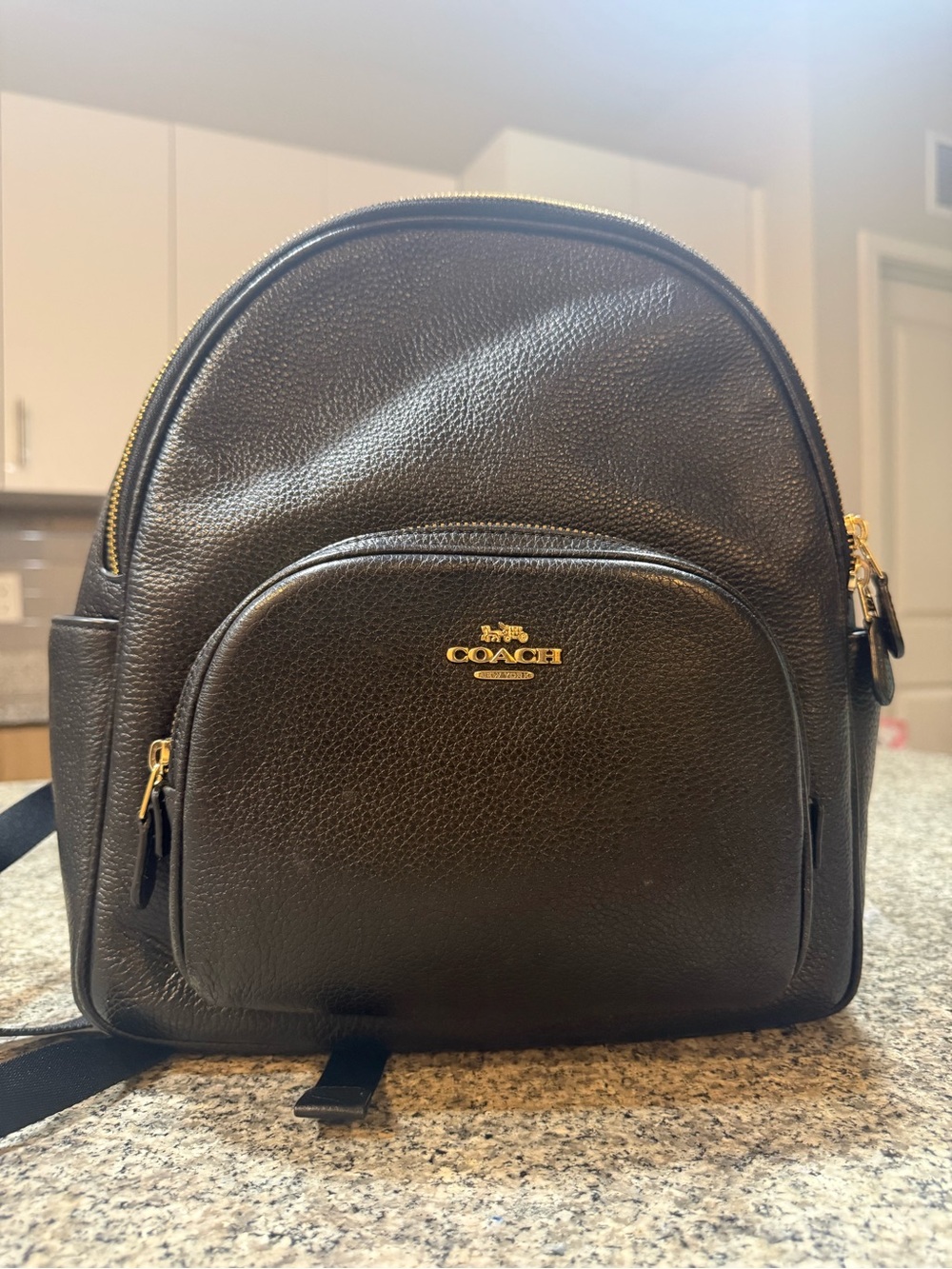 Coach Black Pebbled Leather Mini Backpack with Gold Hardware